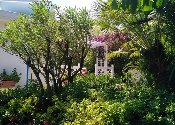 Hotel Parco Delle Rose Silvi Marina